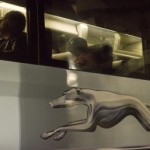 Greyhound: 100 year Anniversary