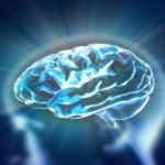 Nourishing Memory and Brain Function