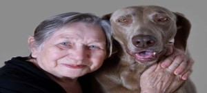 Help dog assists cancer patients