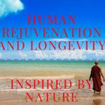 Human Rejuvenation and Longevity – Inspired By Nature