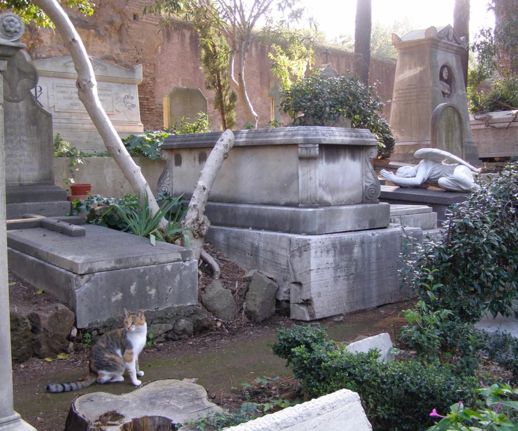 Cats Cimeterio non Catolico Roma